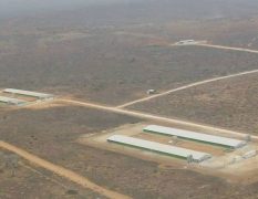 Green 2000 Ltd. is one of Israel's leading companies for agricultural turn-key projects, agro-supplies, vegetables seeds and know-how. Green 2000 Ltd.has over 20 years experience in agro projects world-wide as well as in their Israeli home base. Green 2000 ltd. offers professional turn-key agro management services, to fully designed, constructed & equipped working agricultural models.