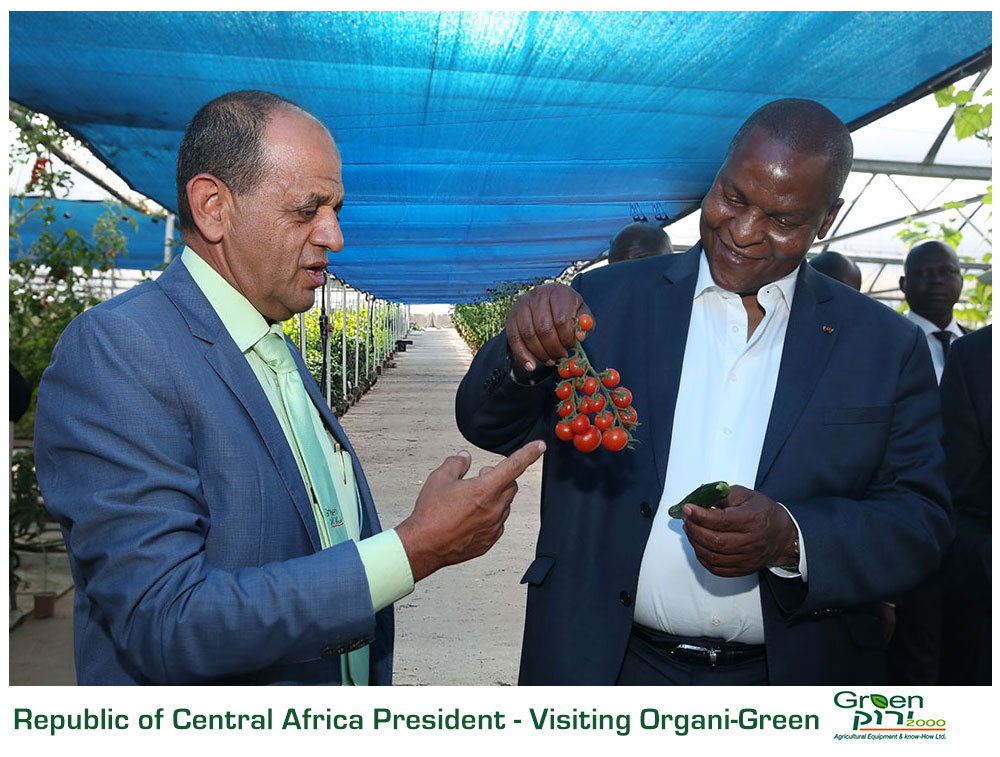 Green 2000 Ltd. is one of Israel's leading companies for agricultural turn-key projects, agro-supplies, vegetables seeds and know-how. Green 2000 Ltd.has over 20 years experience in agro projects world-wide as well as in their Israeli home base. Green 2000 ltd. offers professional turn-key agro management services, to fully designed, constructed & equipped working agricultural models.