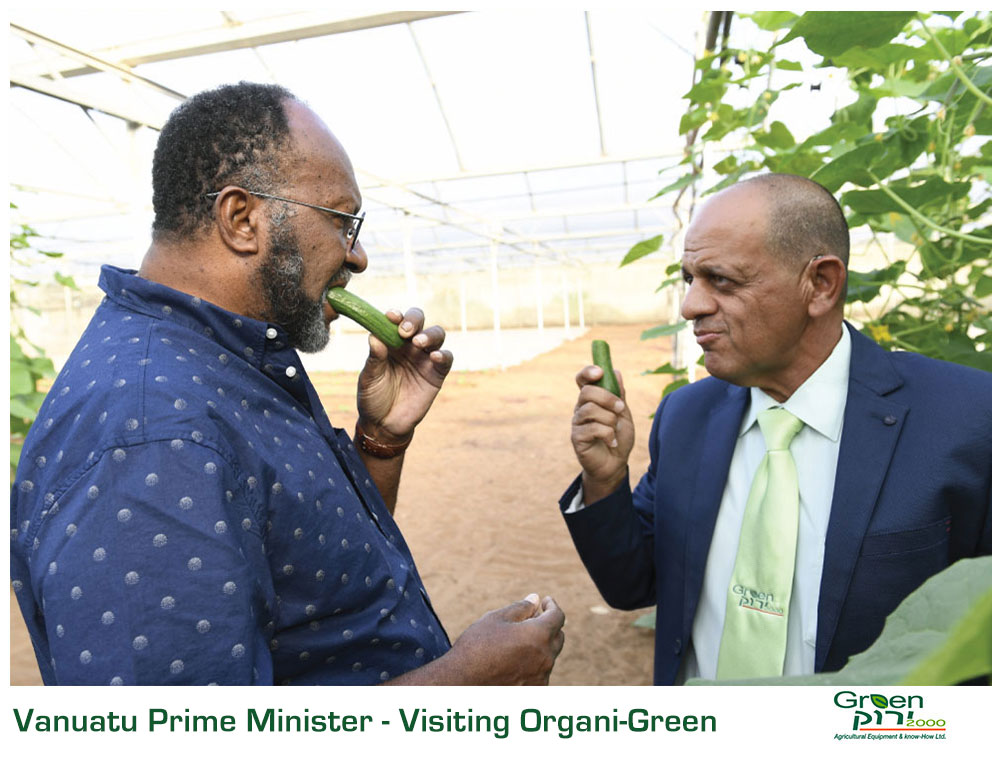 Green 2000 Ltd. is one of Israel's leading companies for agricultural turn-key projects, agro-supplies, vegetables seeds and know-how. Green 2000 Ltd.has over 20 years experience in agro projects world-wide as well as in their Israeli home base. Green 2000 ltd. offers professional turn-key agro management services, to fully designed, constructed & equipped working agricultural models.