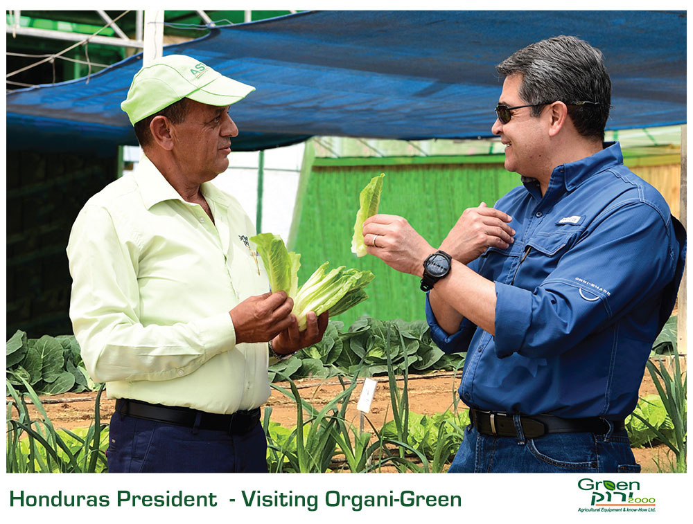 Green 2000 Ltd. is one of Israel's leading companies for agricultural turn-key projects, agro-supplies, vegetables seeds and know-how. Green 2000 Ltd.has over 20 years experience in agro projects world-wide as well as in their Israeli home base. Green 2000 ltd. offers professional turn-key agro management services, to fully designed, constructed & equipped working agricultural models.