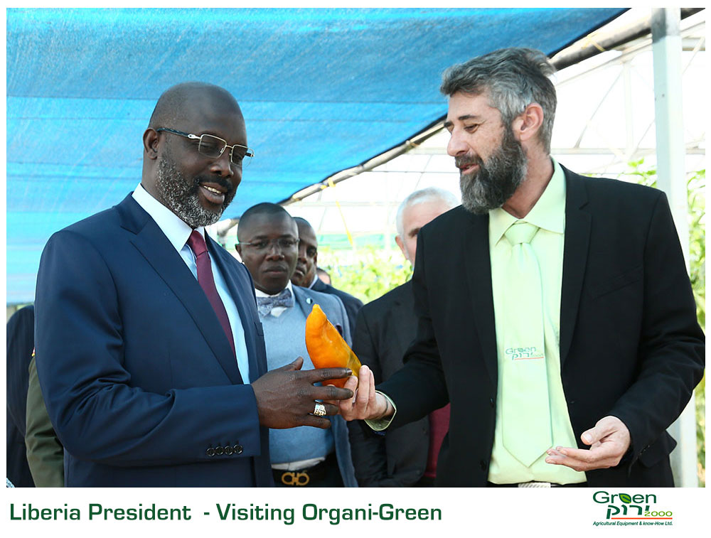 Green 2000 Ltd. is one of Israel's leading companies for agricultural turn-key projects, agro-supplies, vegetables seeds and know-how. Green 2000 Ltd.has over 20 years experience in agro projects world-wide as well as in their Israeli home base. Green 2000 ltd. offers professional turn-key agro management services, to fully designed, constructed & equipped working agricultural models.