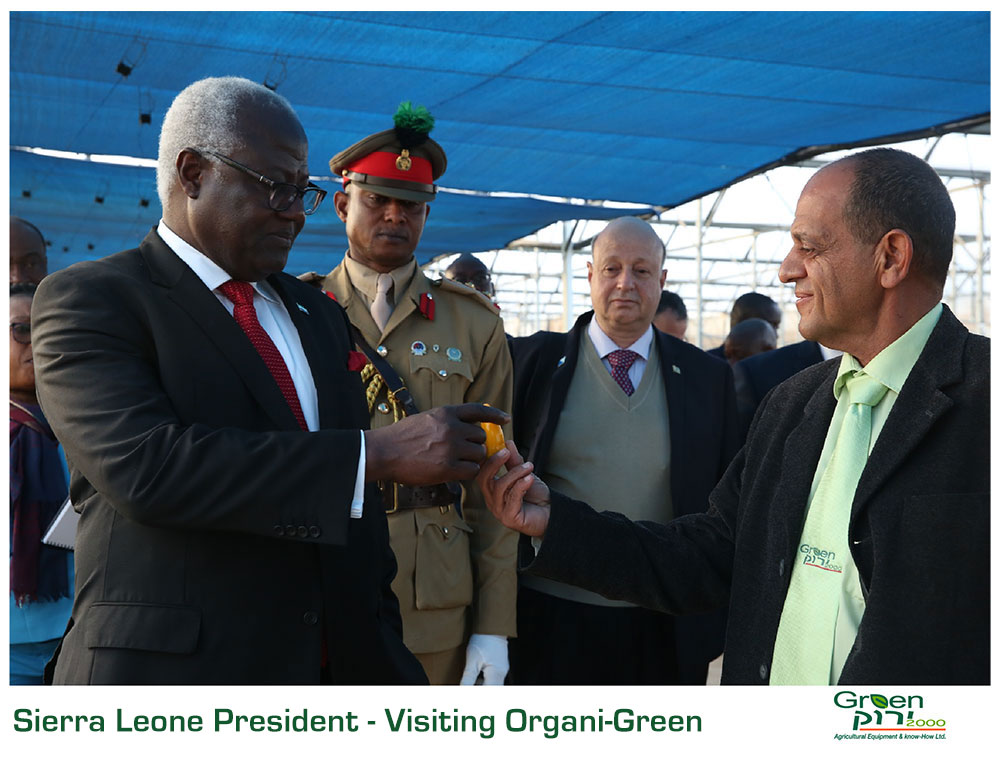 Green 2000 Ltd. is one of Israel's leading companies for agricultural turn-key projects, agro-supplies, vegetables seeds and know-how. Green 2000 Ltd.has over 20 years experience in agro projects world-wide as well as in their Israeli home base. Green 2000 ltd. offers professional turn-key agro management services, to fully designed, constructed & equipped working agricultural models.