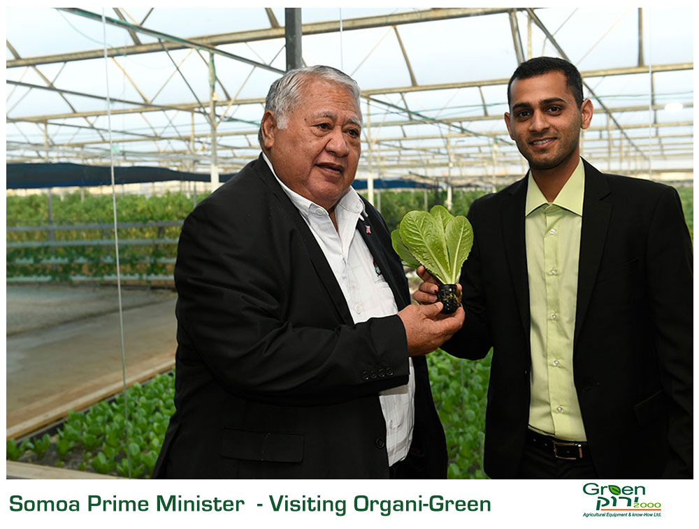 Green 2000 Ltd. is one of Israel's leading companies for agricultural turn-key projects, agro-supplies, vegetables seeds and know-how. Green 2000 Ltd.has over 20 years experience in agro projects world-wide as well as in their Israeli home base. Green 2000 ltd. offers professional turn-key agro management services, to fully designed, constructed & equipped working agricultural models.