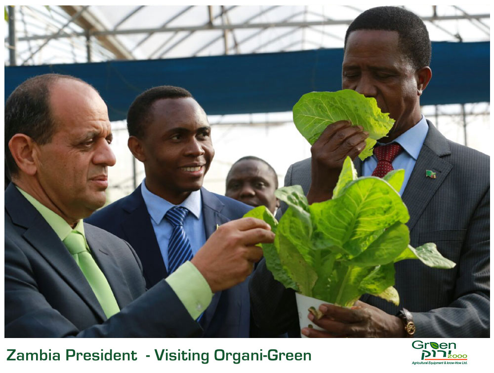 Green 2000 Ltd. is one of Israel's leading companies for agricultural turn-key projects, agro-supplies, vegetables seeds and know-how. Green 2000 Ltd.has over 20 years experience in agro projects world-wide as well as in their Israeli home base. Green 2000 ltd. offers professional turn-key agro management services, to fully designed, constructed & equipped working agricultural models.