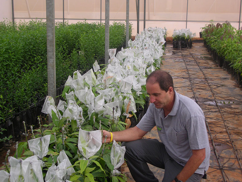 Green 2000 Ltd. is one of Israel's leading companies for agricultural turn-key projects, agro-supplies, vegetables seeds and know-how. Green 2000 Ltd.has over 20 years experience in agro projects world-wide as well as in their Israeli home base. Green 2000 ltd. offers professional turn-key agro management services, to fully designed, constructed & equipped working agricultural models.
