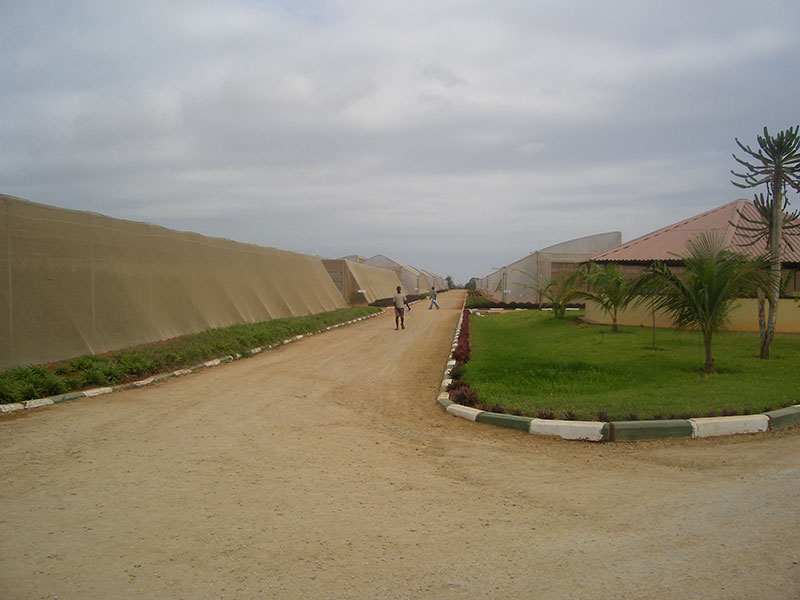 Green 2000 Ltd. is one of Israel's leading companies for agricultural turn-key projects, agro-supplies, vegetables seeds and know-how. Green 2000 Ltd.has over 20 years experience in agro projects world-wide as well as in their Israeli home base. Green 2000 ltd. offers professional turn-key agro management services, to fully designed, constructed & equipped working agricultural models.