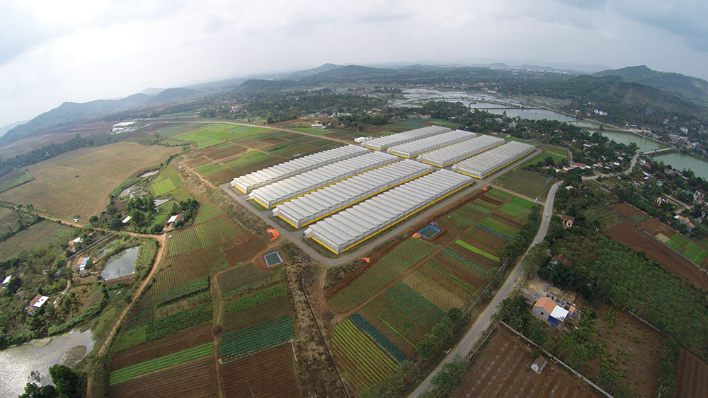 Green 2000 Ltd. is one of Israel's leading companies for agricultural turn-key projects, agro-supplies, vegetables seeds and know-how. Green 2000 Ltd.has over 20 years experience in agro projects world-wide as well as in their Israeli home base. Green 2000 ltd. offers professional turn-key agro management services, to fully designed, constructed & equipped working agricultural models.