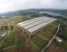 Green 2000 Ltd. is one of Israel's leading companies for agricultural turn-key projects, agro-supplies, vegetables seeds and know-how. Green 2000 Ltd.has over 20 years experience in agro projects world-wide as well as in their Israeli home base. Green 2000 ltd. offers professional turn-key agro management services, to fully designed, constructed & equipped working agricultural models.