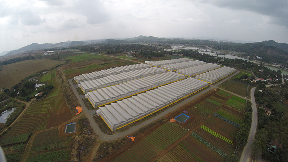 Green 2000 Ltd. is one of Israel's leading companies for agricultural turn-key projects, agro-supplies, vegetables seeds and know-how. Green 2000 Ltd.has over 20 years experience in agro projects world-wide as well as in their Israeli home base. Green 2000 ltd. offers professional turn-key agro management services, to fully designed, constructed & equipped working agricultural models.